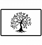 Protective slice for notebook rectangular 2 x 3 cm, carving Tree of Life by eliteshungite.com